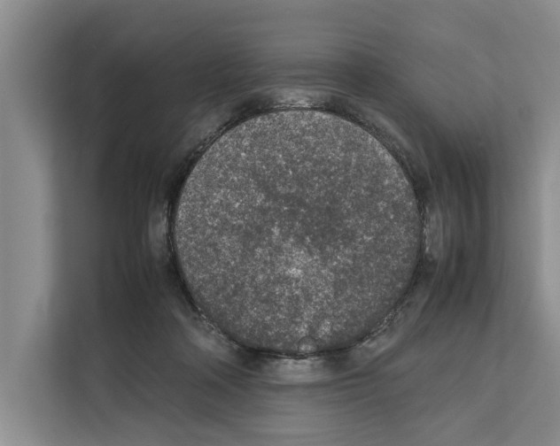 X0000111650314200908281054