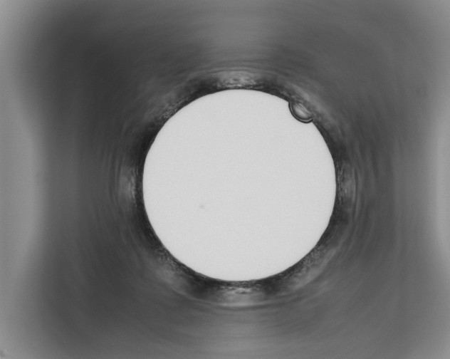X0000111650315200908281054