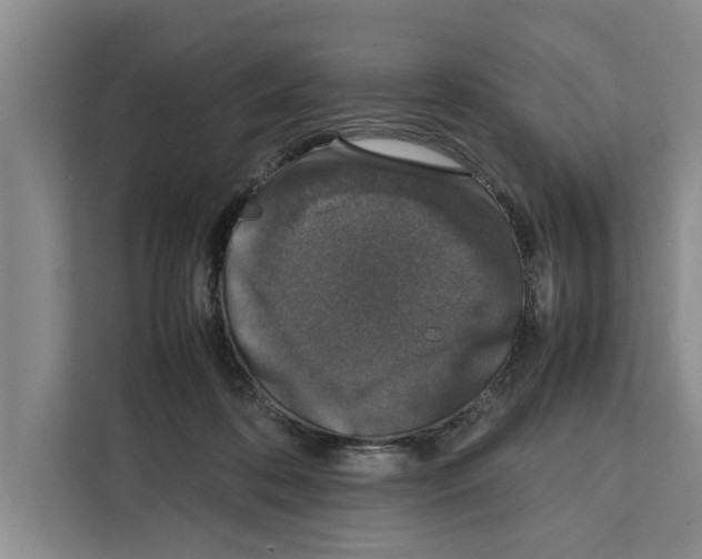 X0000111650316200908281054