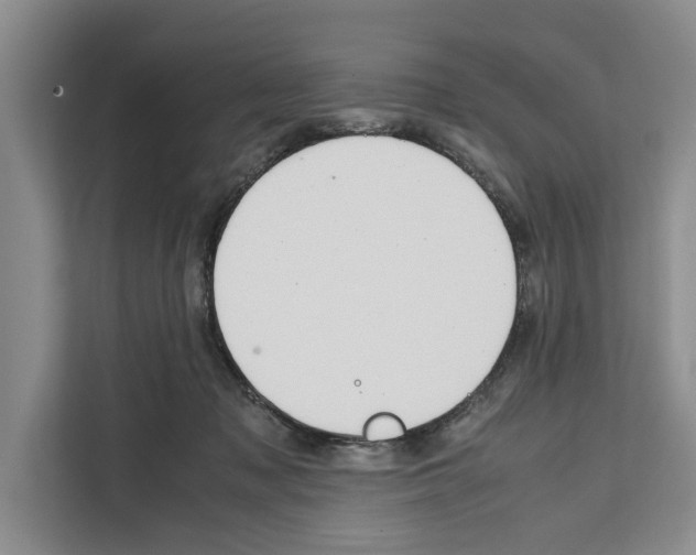 X0000111650317200908281054