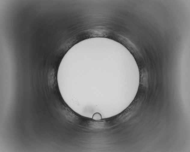 X0000111650318200908281054