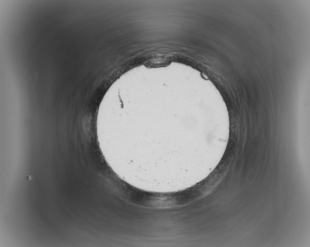 X0000111650319200908281054