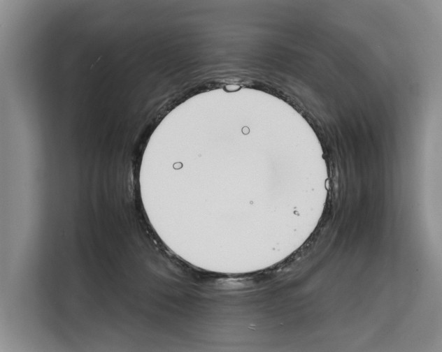 X0000111650320200908281054