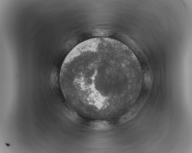 X0000111650322200908281054