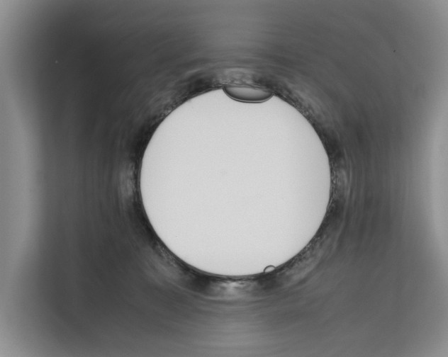 X0000111650323200908281054