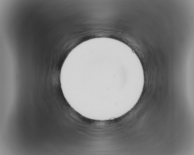 X0000111650325200908281054