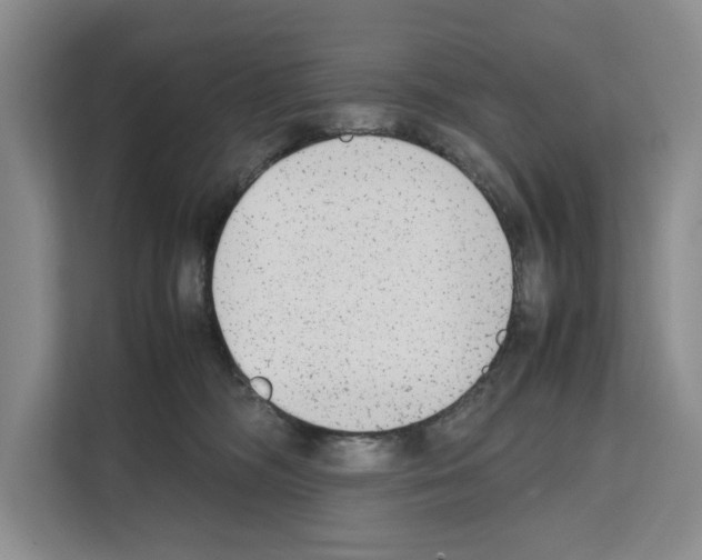 X0000111650326200908281054