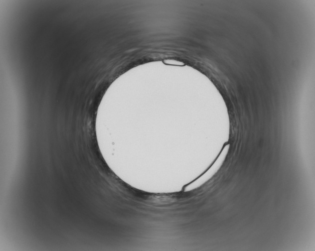 X0000111650327200908281054