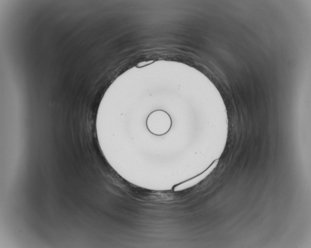 X0000111650328200908281054