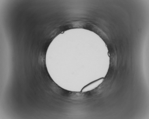 X0000111650329200908281054