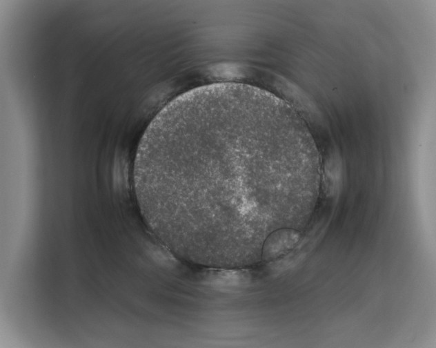 X0000111650330200908281054