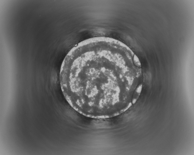 X0000111650331200908281054