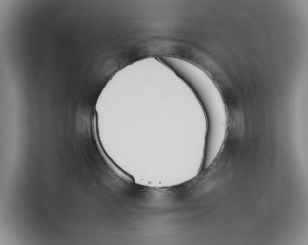 X0000111650333200908281054