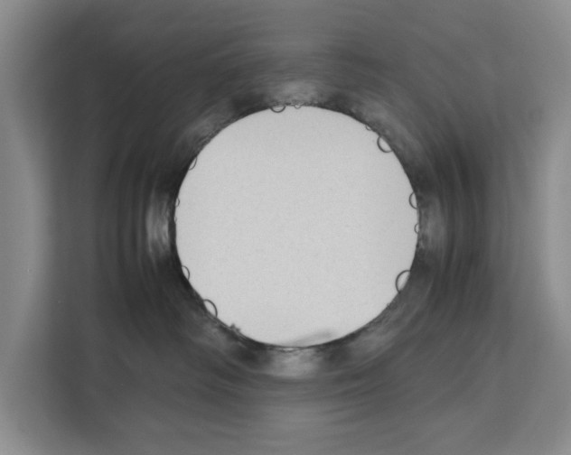 X0000111650334200908281054