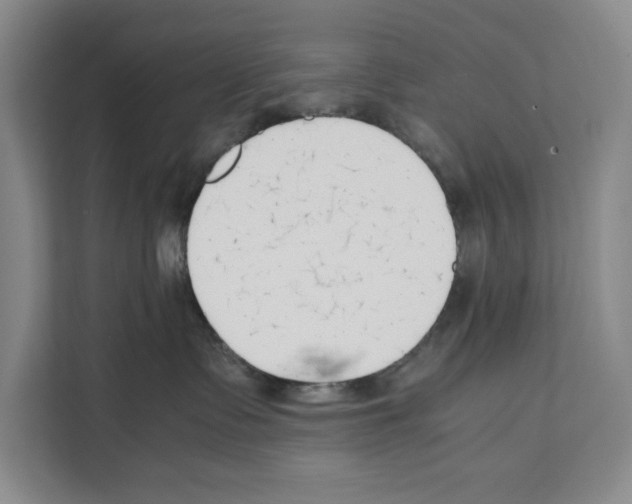X0000111650335200908281054