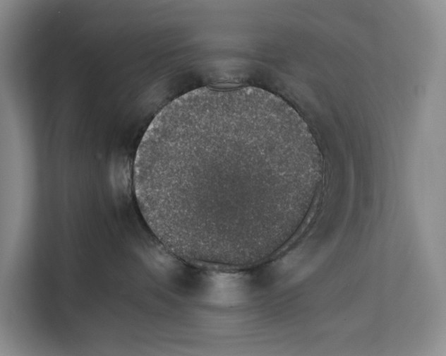 X0000111650336200908281054