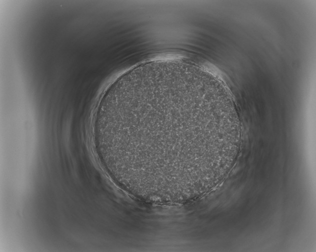 X0000111650337200908281053