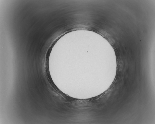 X0000111650338200908281053