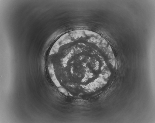 X0000111650339200908281053