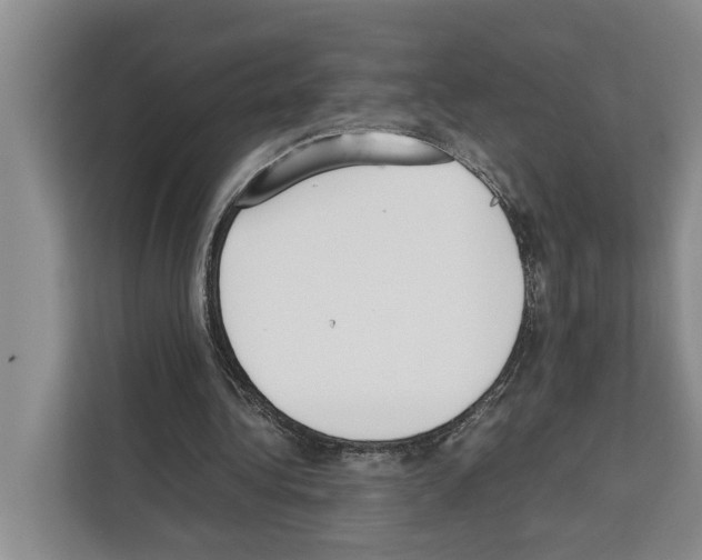 X0000111650340200908281053