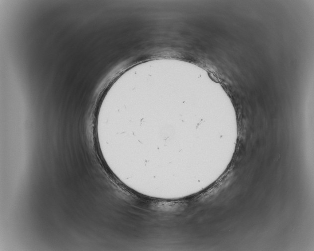 X0000111650341200908281053