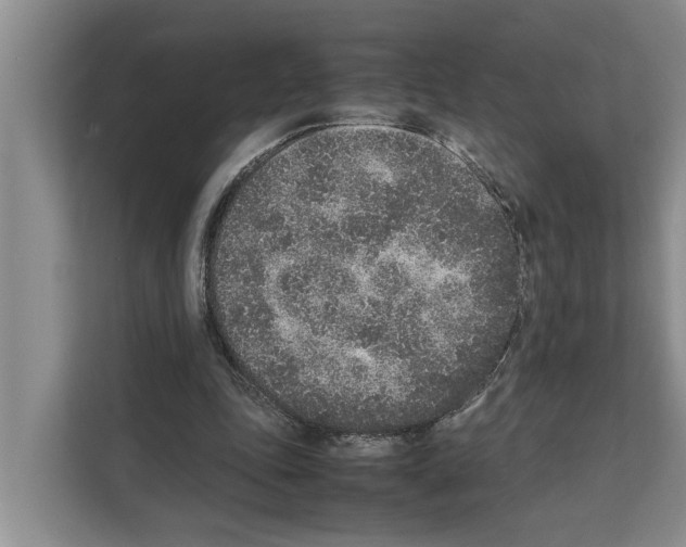 X0000111650343200908281053