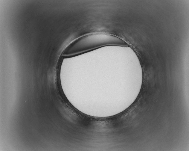 X0000111650344200908281053
