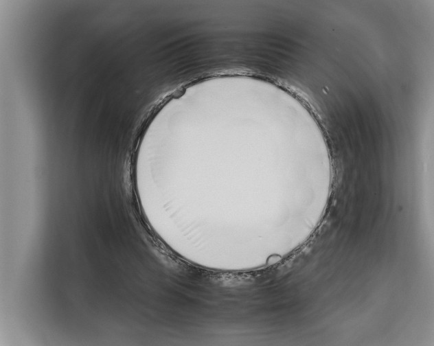 X0000111650345200908281053
