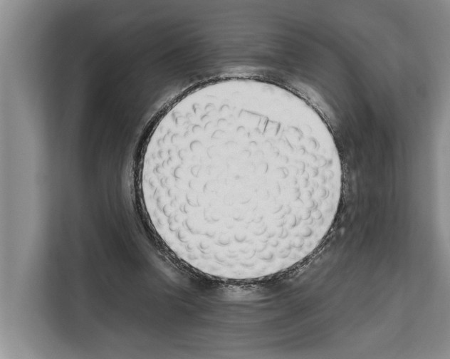 X0000111650346200908281054