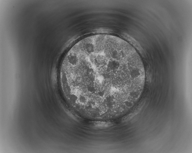 X0000111650347200908281054