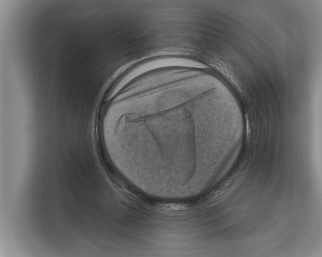 X0000111650348200908281054