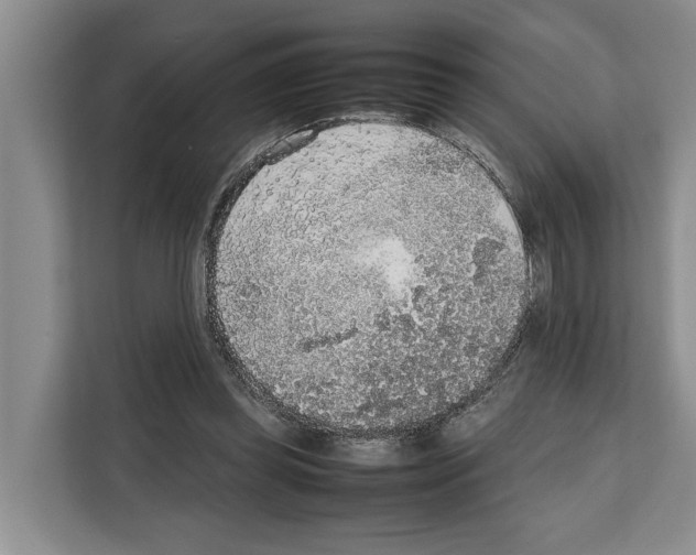 X0000111650349200908281054