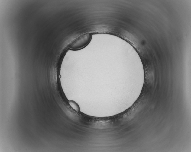 X0000111650350200908281054