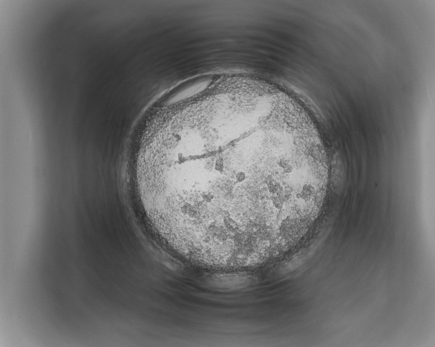 X0000111650351200908281054