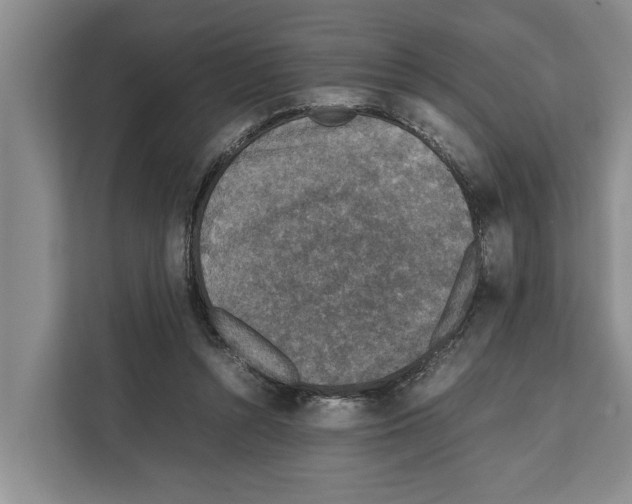 X0000111650352200908281054