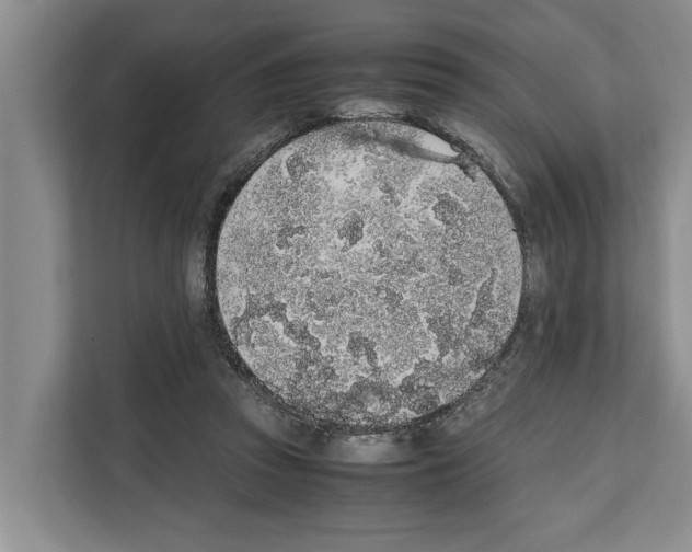 X0000111650353200908281054