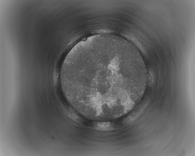 X0000111650355200908281054