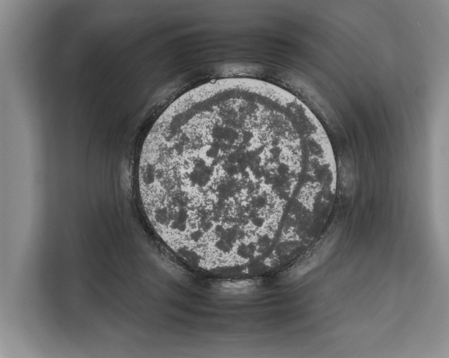 X0000111650357200908281054