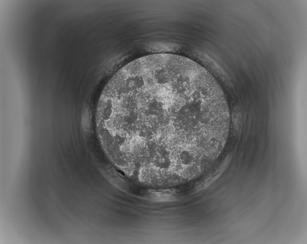 X0000111650359200908281054