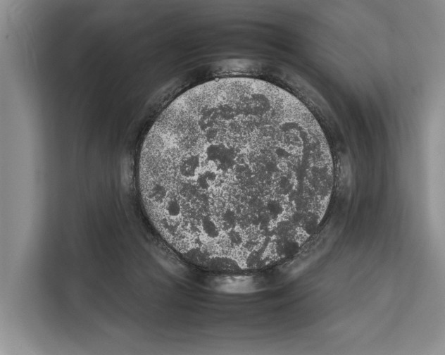 X0000111650361200908281054
