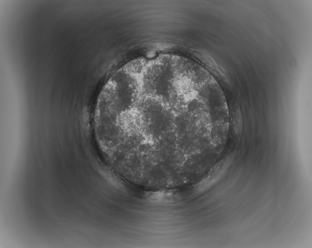 X0000111650366200908281054