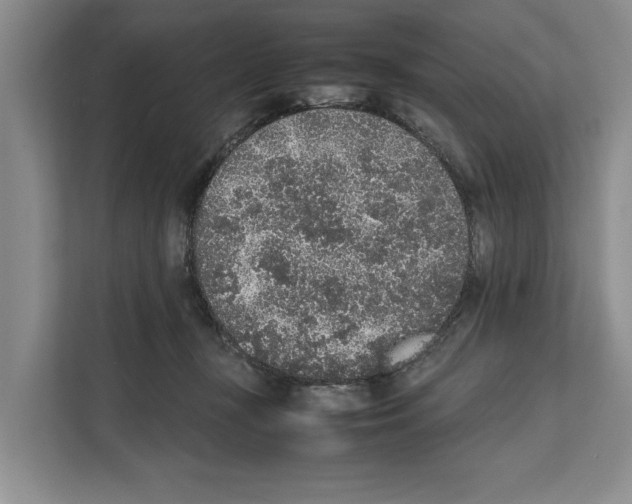X0000111650367200908281054