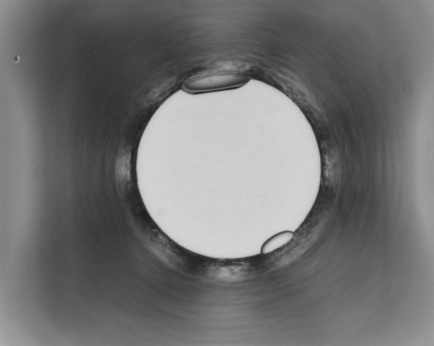 X0000111650368200908281054