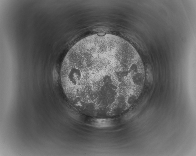 X0000111650371200908281054