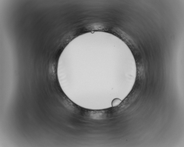 X0000111650373200908281054