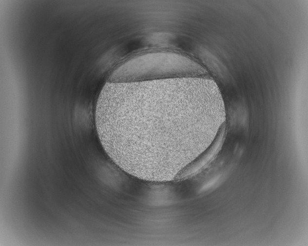 X0000111650376200908281054