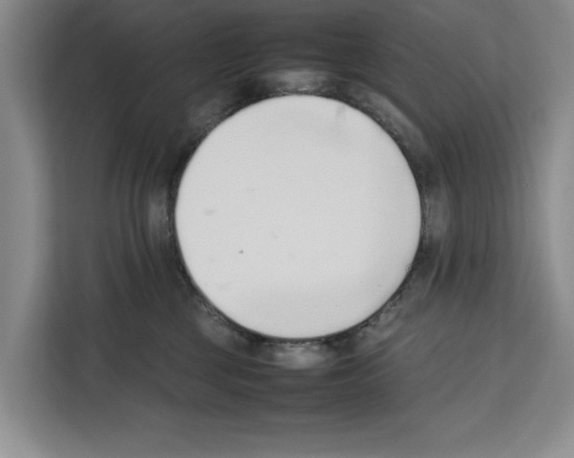 X0000111650377200908281054