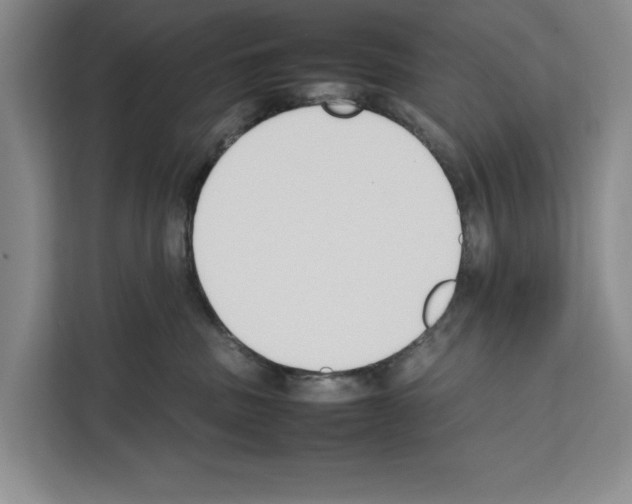X0000111650379200908281054
