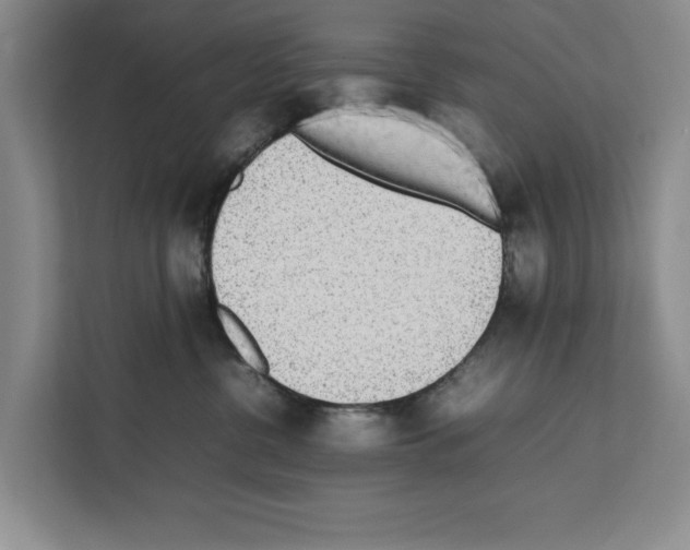 X0000111650380200908281054