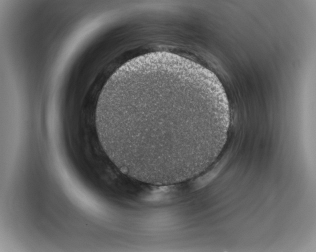 X0000111650382200908281054